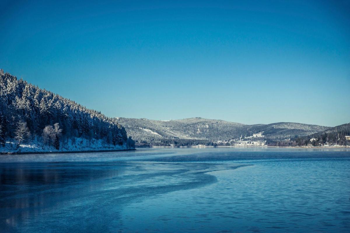 2 Mit Pool Im Haus Schluchsee